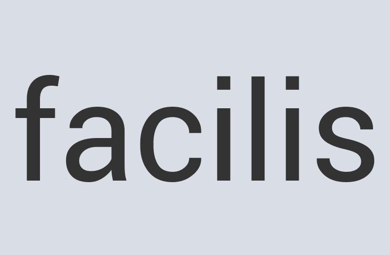 Aerodynamic Iron Plumb Bum